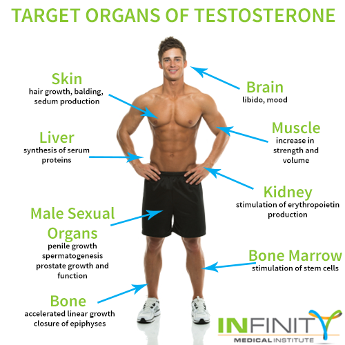 testosterone