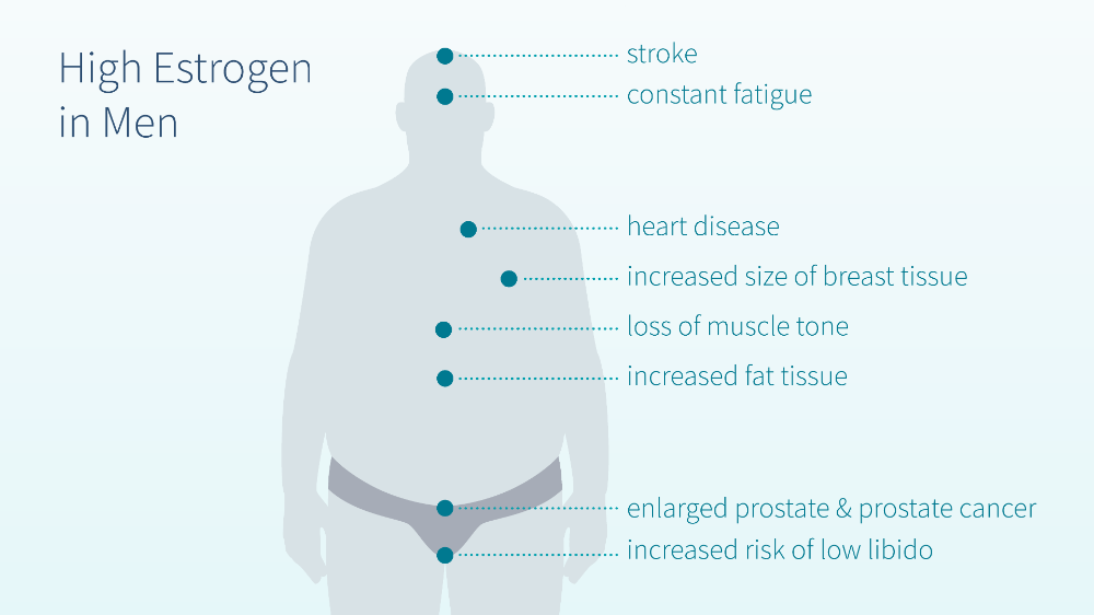 7-symptoms-of-high-estrogen-levels-in-men-bodytech-clinic-of-rejuvenation